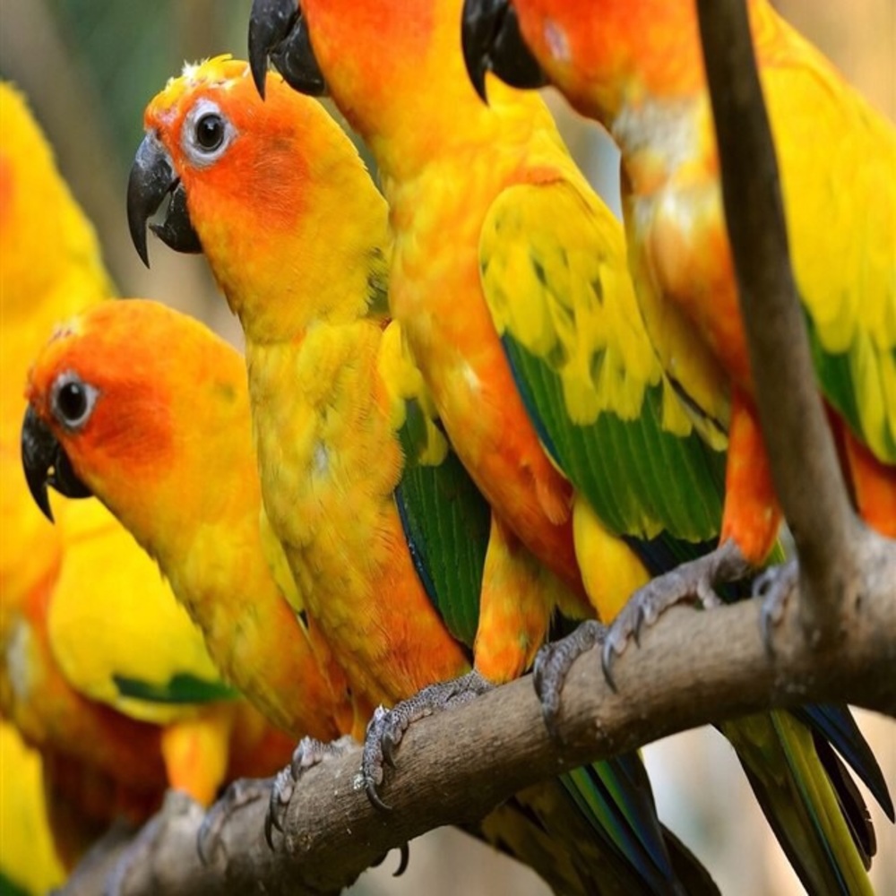 Meet your Posher, Sandra